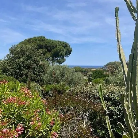 Avec Piscine A Quelques Minutes De La Lumio (Corsica)