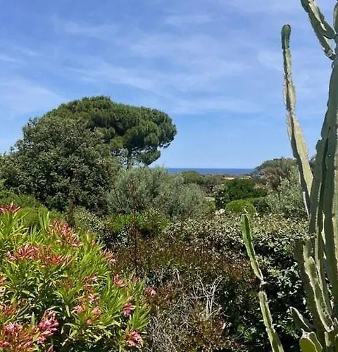 Avec Piscine A Quelques Minutes De La 卢米奥